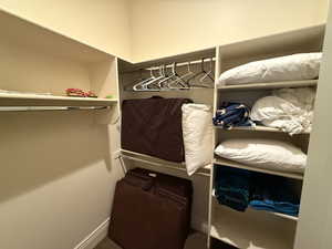 Walk in closet with carpet