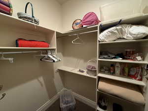 Walk in closet featuring carpet floors