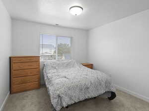 Bedroom featuring carpet flooring and a textured ceiling