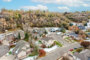 Birds eye view of property