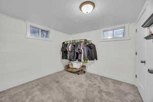 Spacious closet with light colored carpet