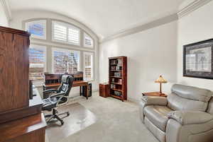 Carpeted office with vaulted ceiling, a wealth of natural light, and crown molding