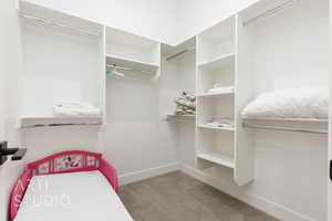 Spacious closet featuring carpet flooring