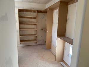 View of walk in closet