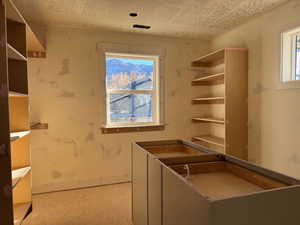 Kitchen featuring a wealth of natural light