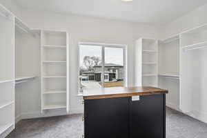 Spacious closet featuring carpet flooring