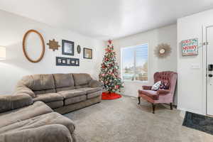 Living room featuring carpet