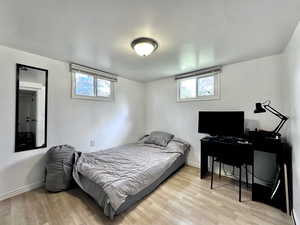 Bedroom with multiple windows and light hardwood / wood-style floors