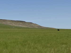 Mountain view featuring rural landscape