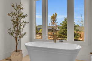 Master Bathroom with free standing tub for soaking