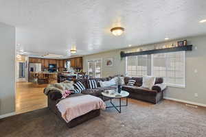 Living room featuring a textured ceiling and light carpet