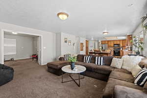 Living room featuring carpet flooring and a textured ceiling