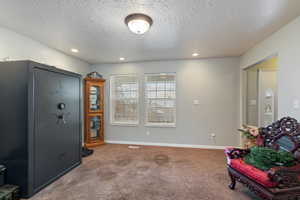 Sitting room with carpet and a textured ceiling