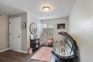 Sitting room featuring dark wood-type flooring and a textured ceiling