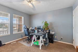 Office with carpet floors, a textured ceiling, and a wealth of natural light