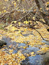 View of exterior creek in autumn