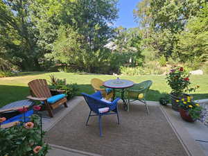 View of patio in summer