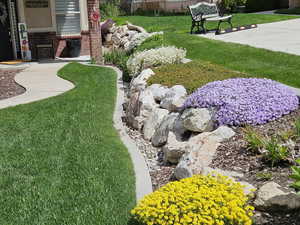 View of front yard in summer