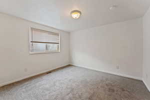 Carpeted spare room with a textured ceiling