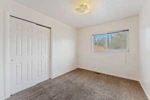 Unfurnished bedroom featuring carpet floors, a textured ceiling, and a closet