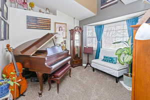 Misc room featuring carpet and lofted ceiling