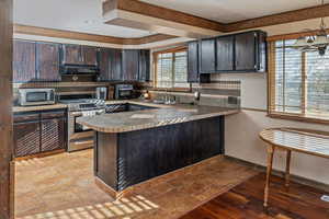 Kitchen featuring kitchen peninsula, dark brown cabinets, stainless steel appliances, and sink