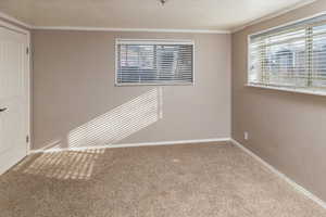 Downstairs Carpeted bedroom