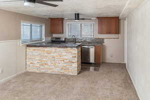 Downstairs second Kitchen with plenty of natural light, carpet floors, and stainless steel appliances