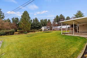 View of yard with a patio and a trampoline