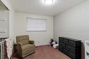 Living area with a textured ceiling, carpet floors, and ornamental molding