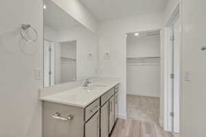 Bathroom featuring hardwood / wood-style floors and vanity