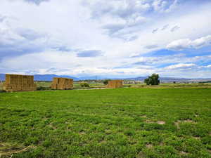 View of yard with a mountain view and a rural view