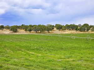 View of yard featuring a rural view