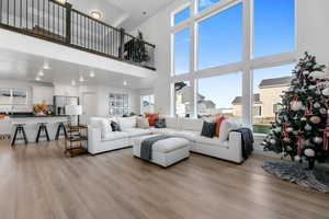 Living room featuring plenty of natural light, light hardwood / wood-style floors, a towering ceiling, and sink