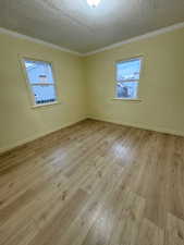 Spare room with a healthy amount of sunlight, light wood-type flooring, and ornamental molding