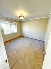 Carpeted empty room with a textured ceiling and crown molding