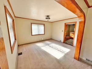 Unfurnished bedroom with crown molding and light colored carpet