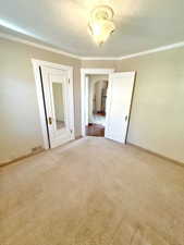 Carpeted empty room featuring a textured ceiling and crown molding