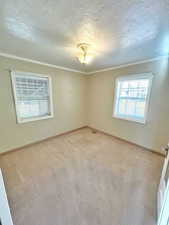 Carpeted empty room with ornamental molding and a textured ceiling