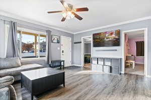 Living room featuring laminate floors, ceiling fan, and crown molding