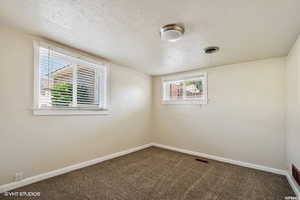 Spare room featuring a wealth of natural light, carpet, and a textured ceiling