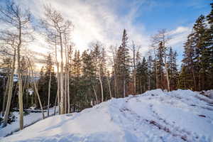 View of snowy view