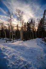 View of yard layered in snow