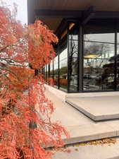 The last vestiges of fall at the famous Upwall Architecture building, One block from the property.