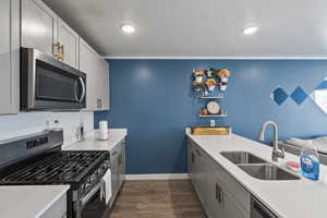 Kitchen featuring dark hardwood / wood-style flooring, stainless steel appliances, gray cabinetry, and sink