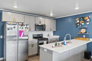 Kitchen with gray cabinets, sink, stainless steel appliances, and light hardwood / wood-style floors