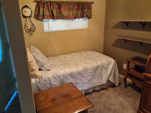 Bedroom featuring carpet floors