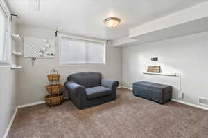 Sitting room with carpet floors