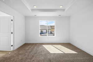 Carpeted spare room featuring a raised ceiling