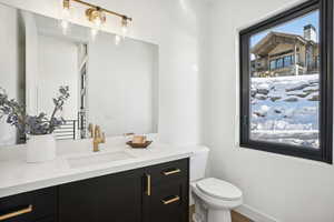 Bathroom with hardwood / wood-style floors, vanity, and toilet